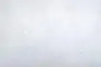 DSC-0100