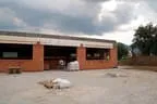 DSC-0381